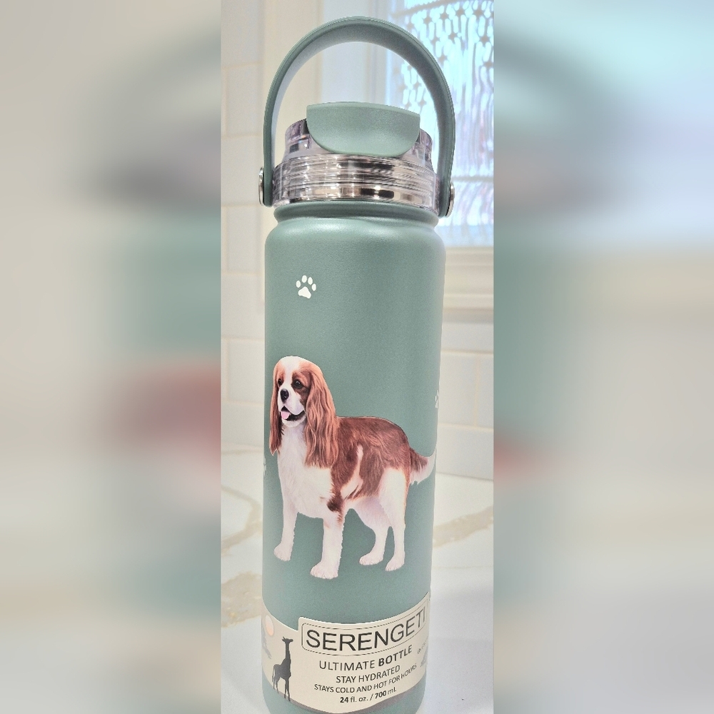 King Charles Cavaler. Serengeti Medium Green  Water Bottle